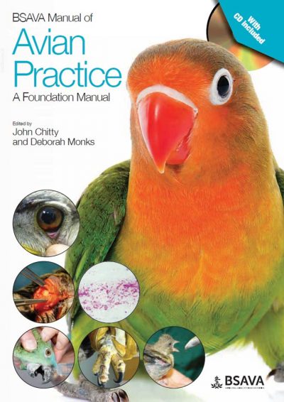 bsava manual of exotic pet and wildlife nursing shoes